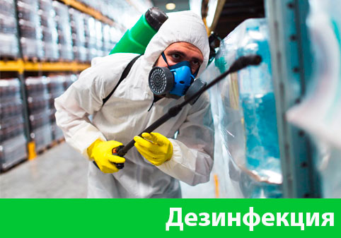 Дезинфекция в городе Бронницы