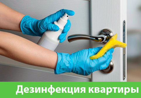 Дезинфекция квартиры в городе Бронницы