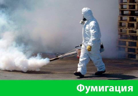 Фумигация в городе Бронницы