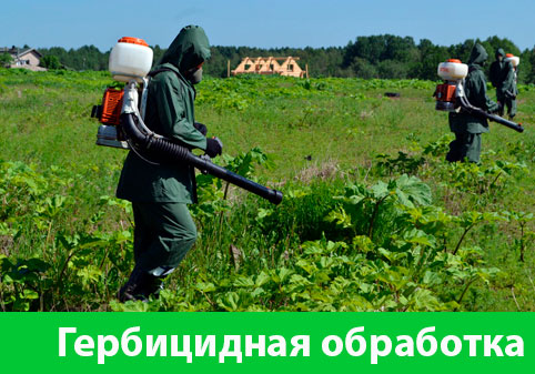 Гербицидная обработка в городе Бронницы