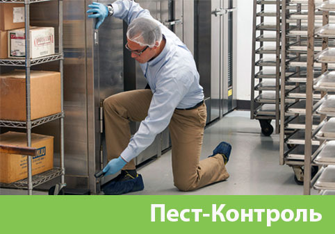 Пэст-Контроль в городе Бронницы