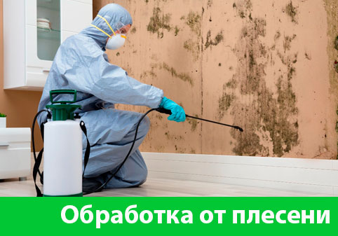Обработка от плесени в городе Бронницы
