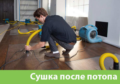 Сушка после потопа в городе Бронницы