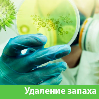 Удаление запахов в Бронницах
