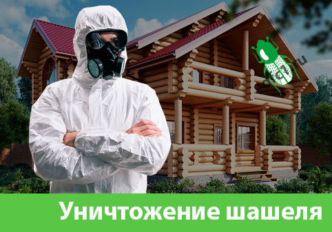 Уничтожение шашеля и личинок в Бронницах