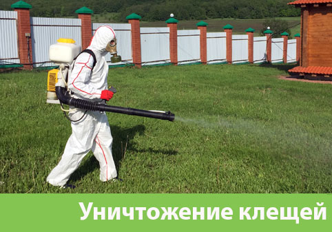 Уничтожение клещей в городе Бронницы